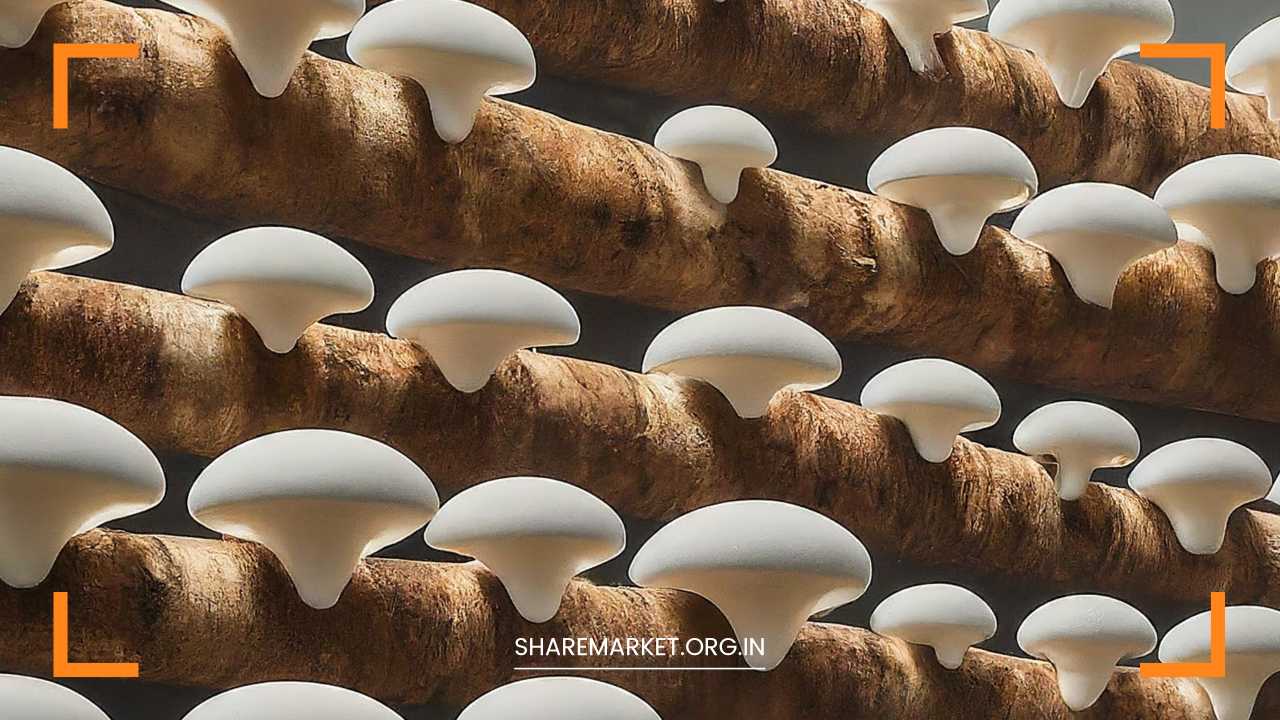 Mushroom Cultivation