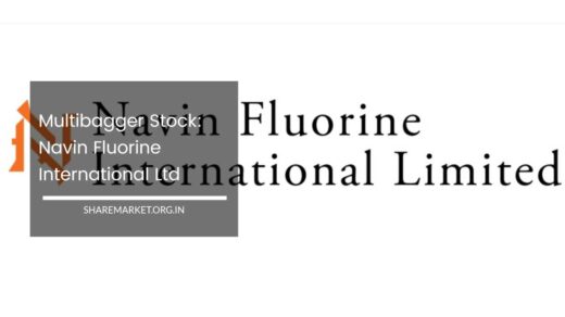 Navin Fluorine International Ltd