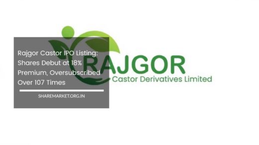 Rajgor Castor IPO Listing