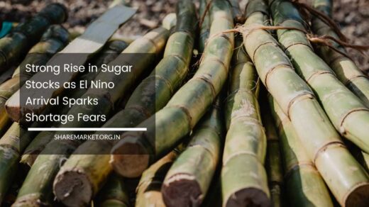 Rise in Sugar Stocks